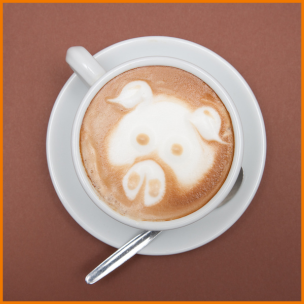 Grafika świnki na kawie